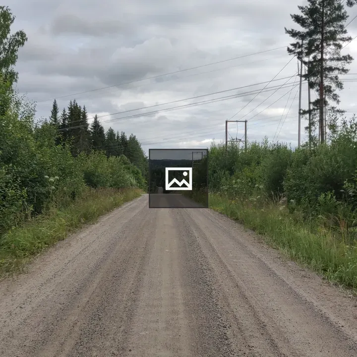 Dirt road through forest landscape