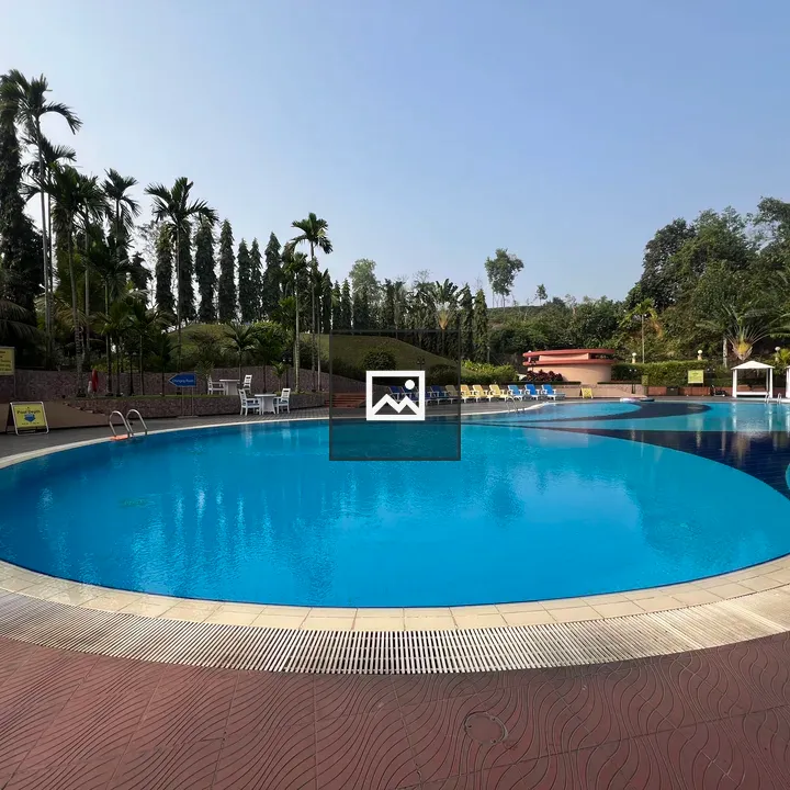 Swimming pool with trees backdrop