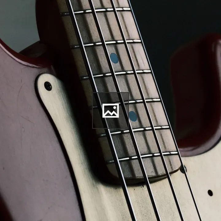 Vintage bass guitar