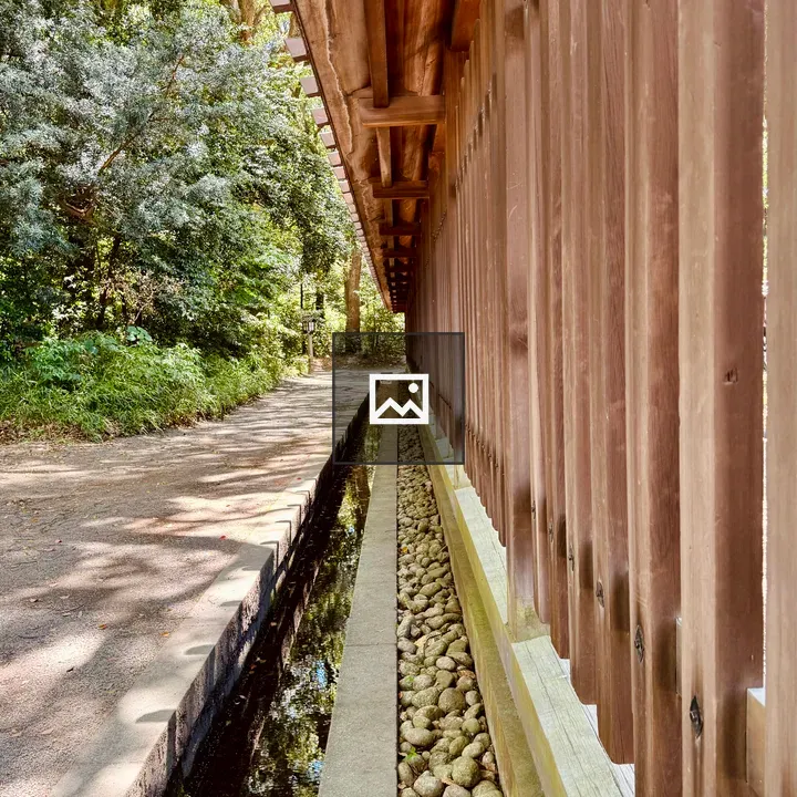 Wooden fence with drainage ditch