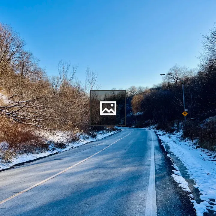 Snowy road through forest