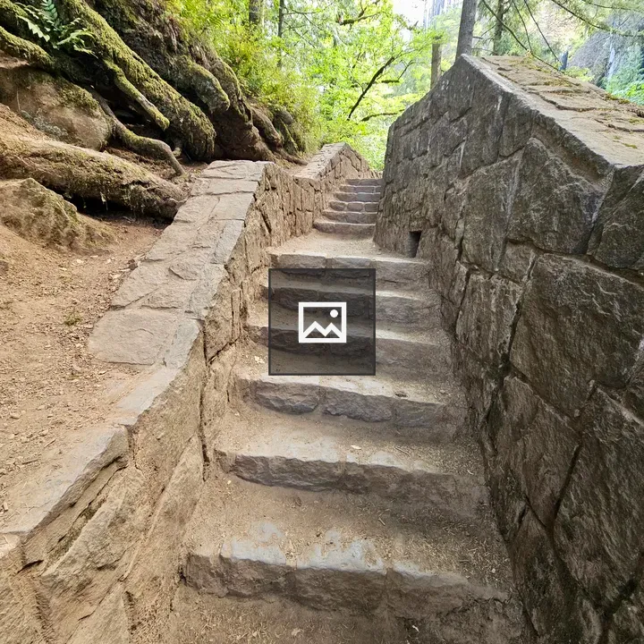 Stone Steps in Mossy Forest Trail