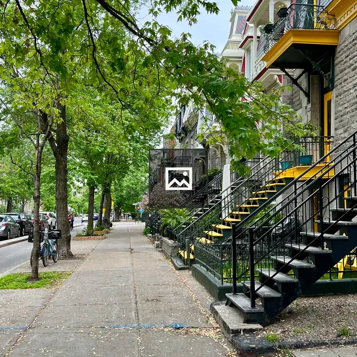Street in Le Plateau-Mont-Royal