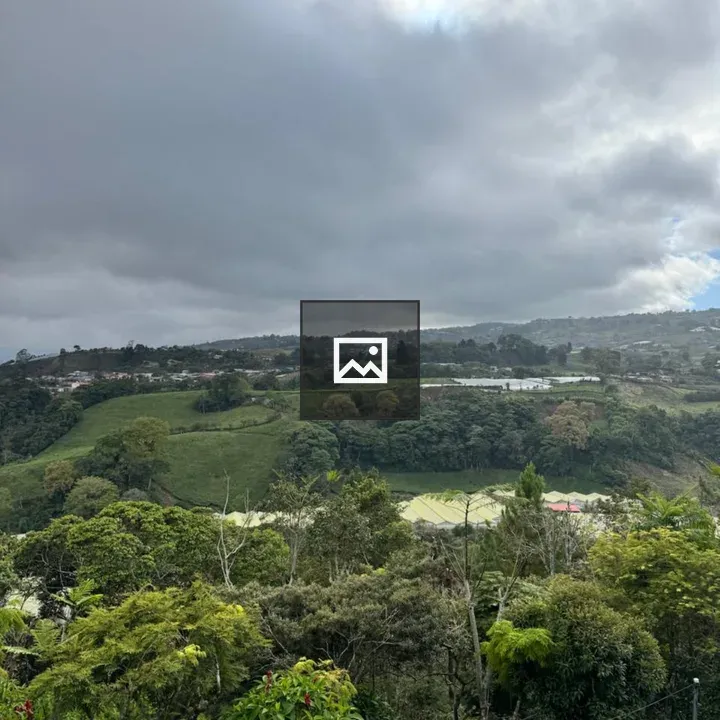 Panoramic Hills and Trees