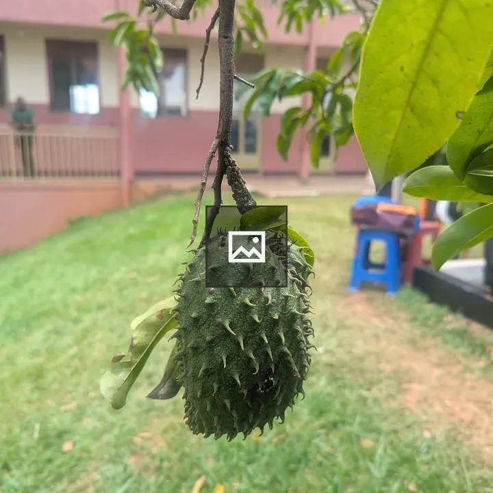 Fruit in Portrait