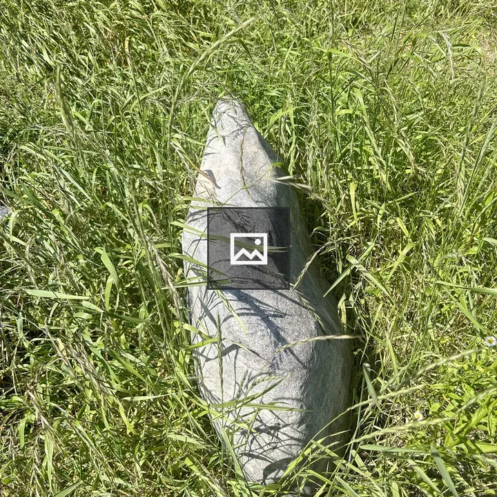 Rock amid tall grasses