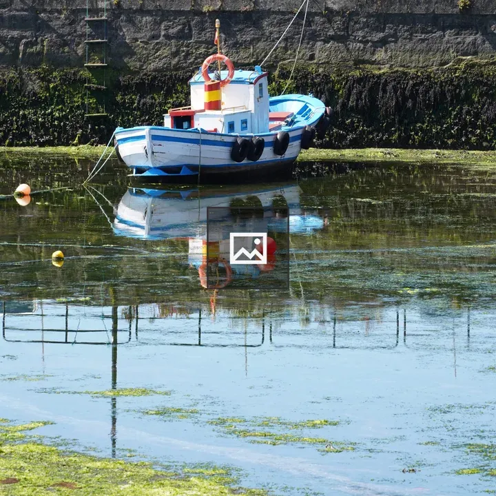 Blue and White Boat Anchored