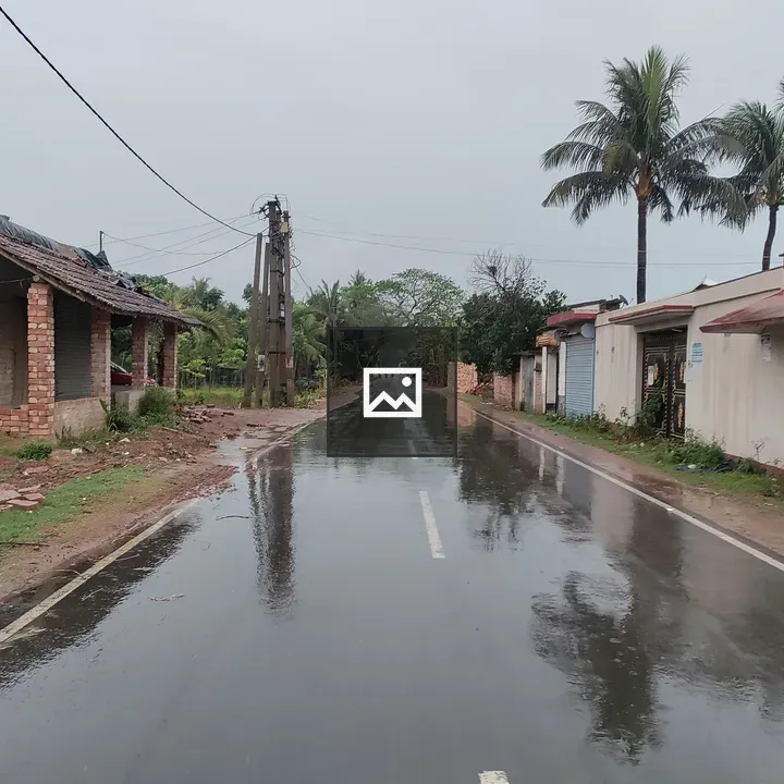 Rain on a Street with Palm Trees