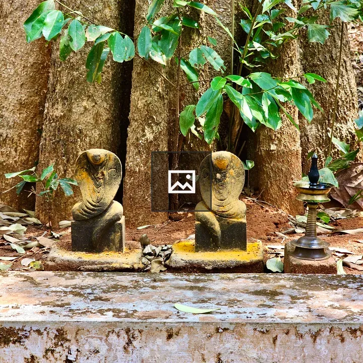 Snake abode in Kerala