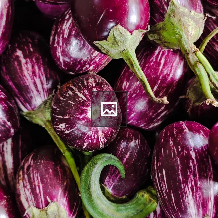 Purple Eggplants Portrait