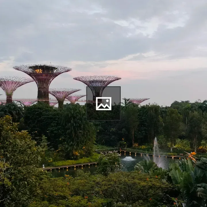 Park Supertrees at Dusk
