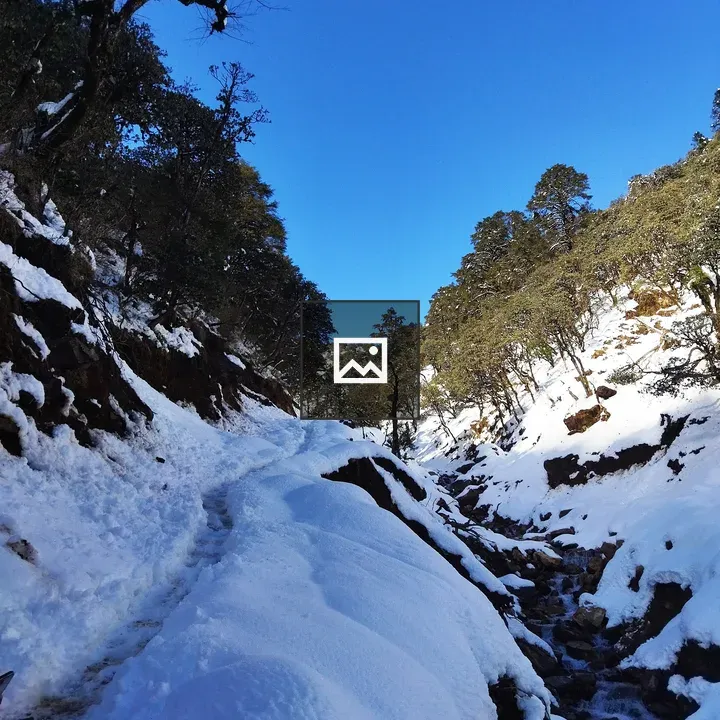 Snow covered hill