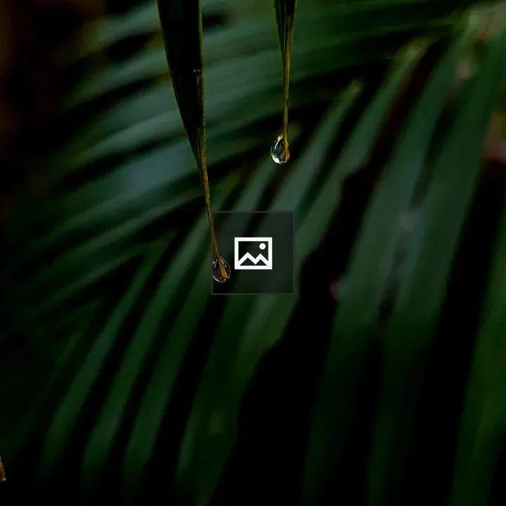 Leaf with Raindrops