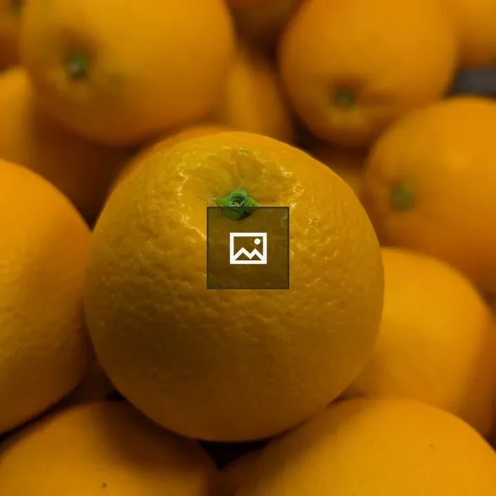Close-up of oranges with textured peel