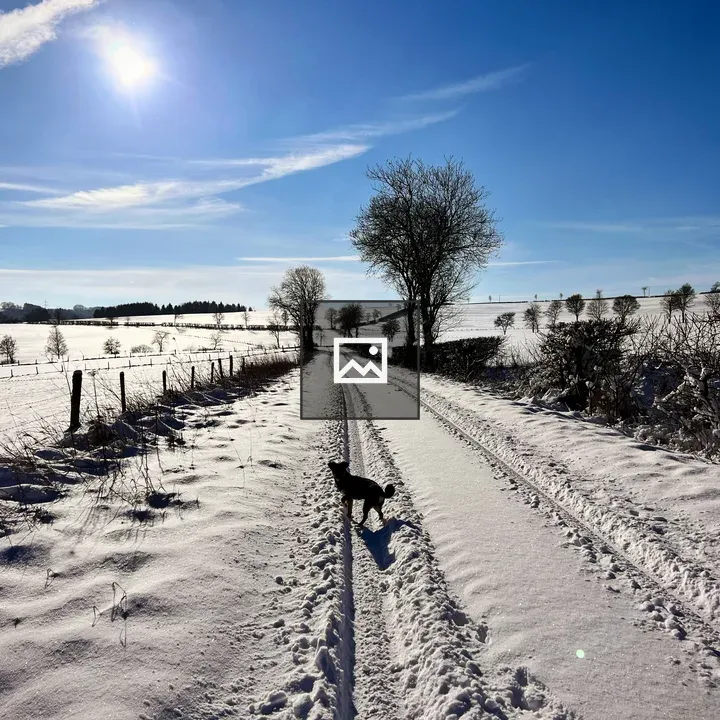 Winter landscape with small dog