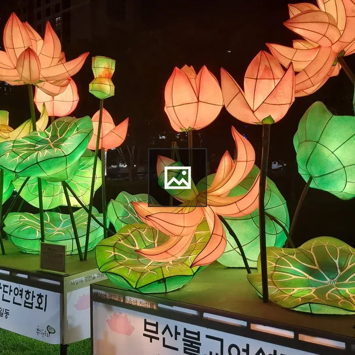Glowing lotus lanterns at festival