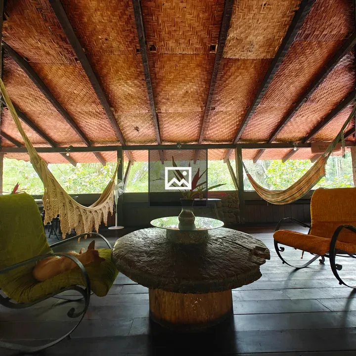 Rustic cozy space with hammocks