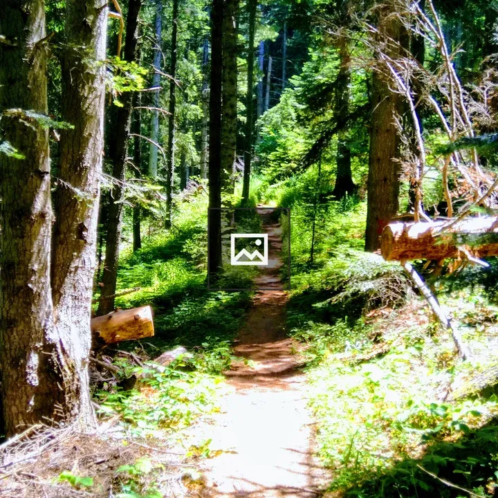 Pelister Mountain Track