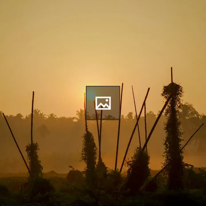 Sunrise over misty tropical landscape