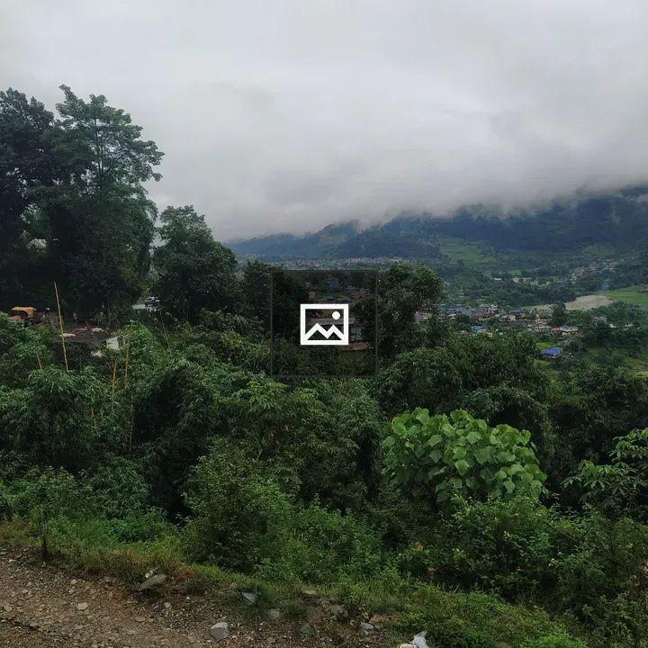 Lush Green Landscape Scene