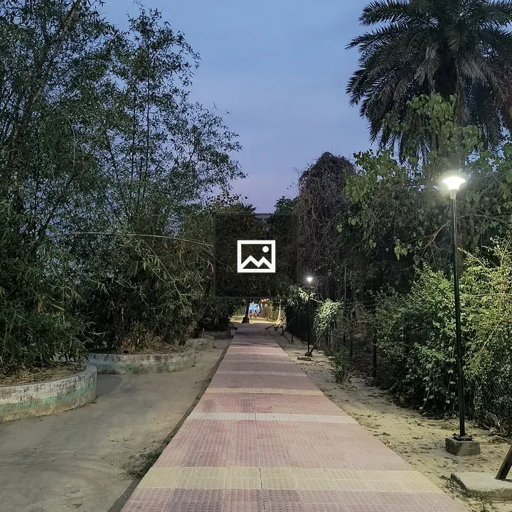 Twilight Pathway with Trees