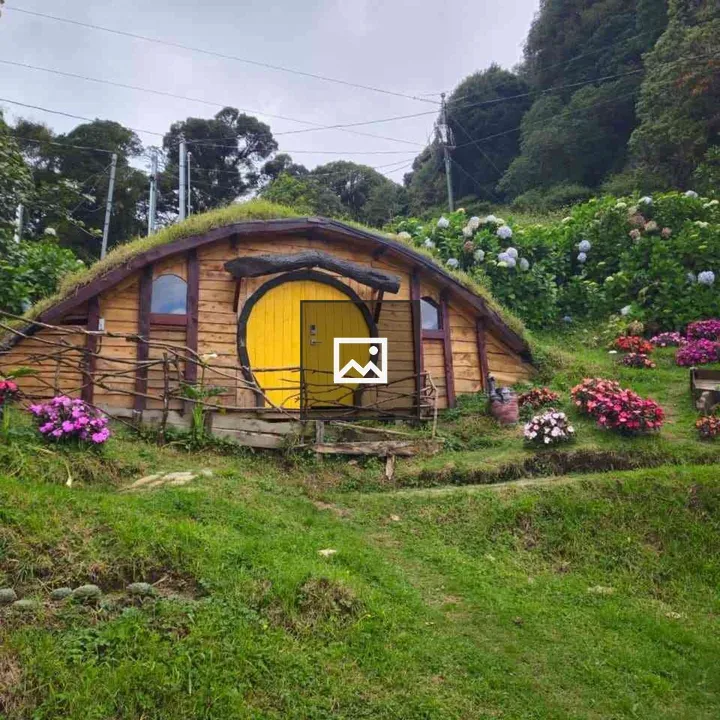 Whimsical wooden house with yellow door