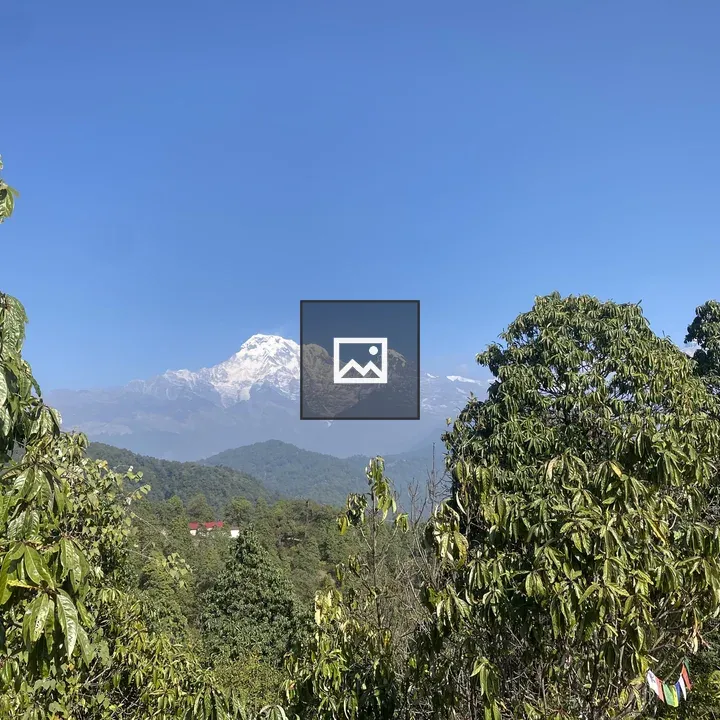 As mountain seen from between trees