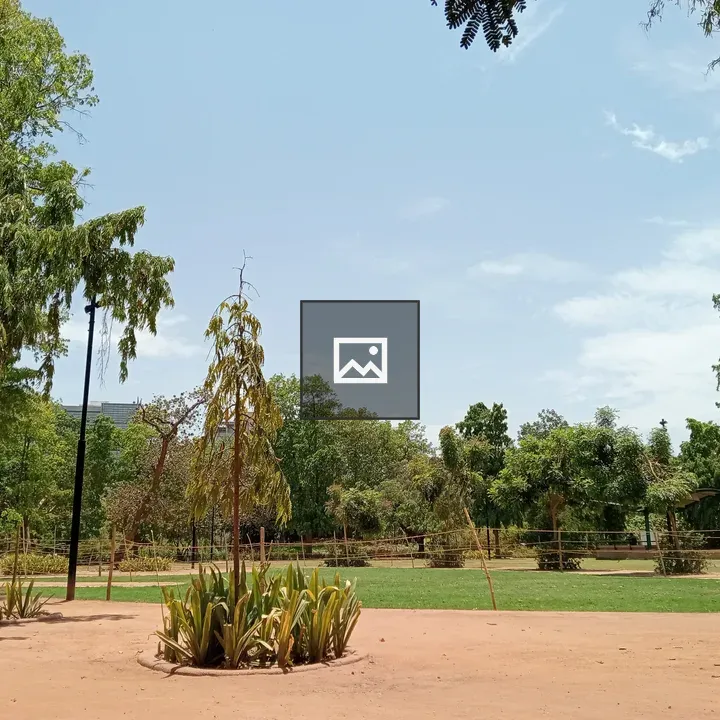 Park with Large Green Lawn
