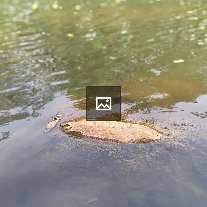 Mandakini River Waters with Foliage