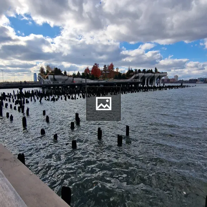 Waterfront scene with pilings