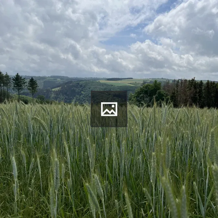 Scenery of Luxembourg