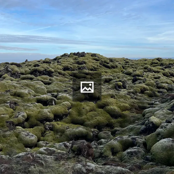 Moss on lava field