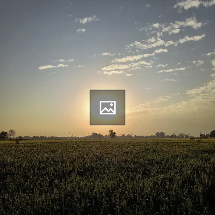 Sunset Over Wheat Field