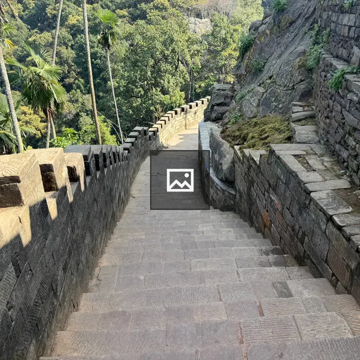 Stone Pathway and Wall with Greenery