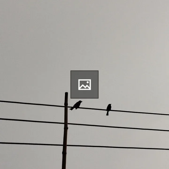 Two birds on parallel power lines