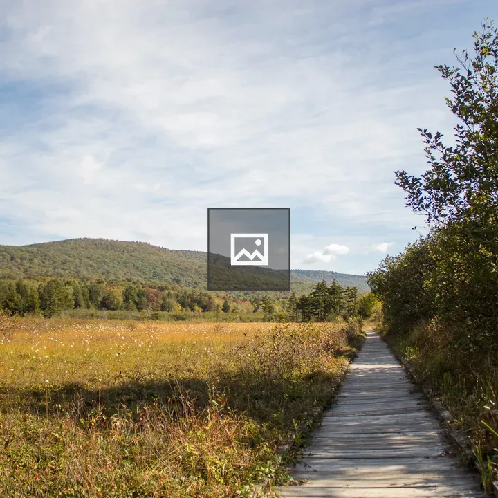 Cranberry Glades landscape