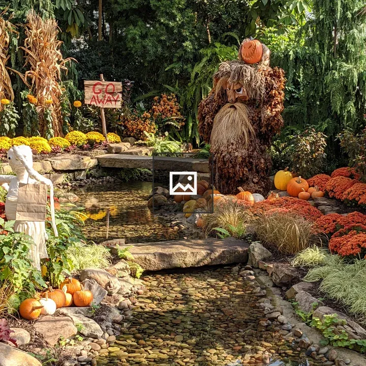 Pumpkin and Gourds Still Life