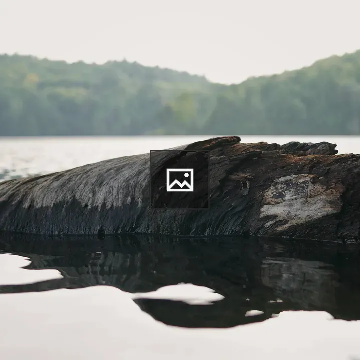 Log in Calm Water