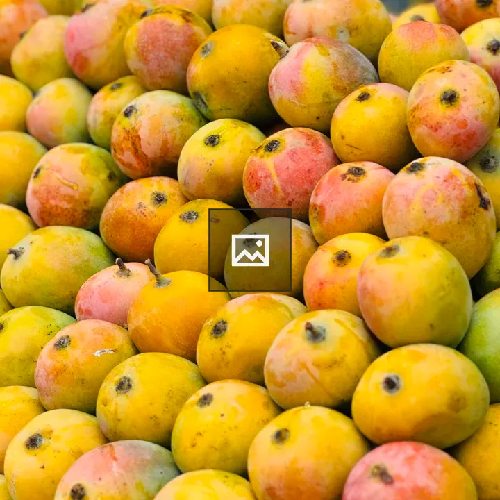 Mangoes in vibrant yellow and orange