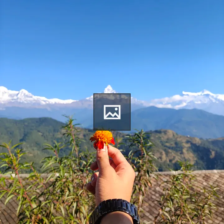 Hand with flower in mountain landscape