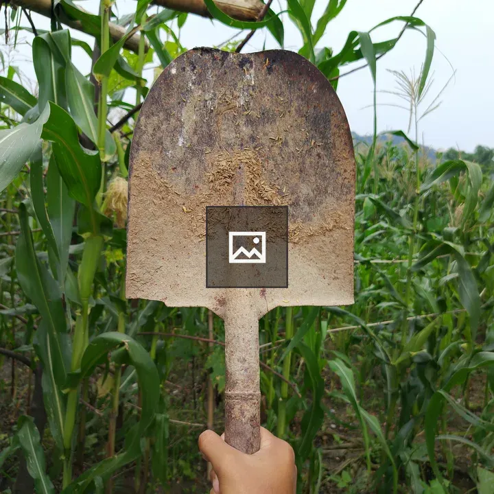 Hand holding rusty shovel
