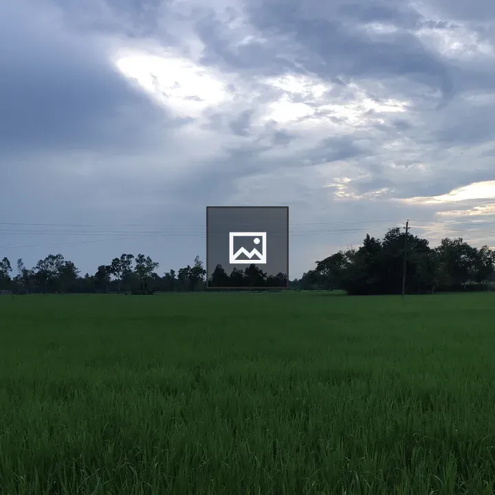Natural landscape with fields and trees
