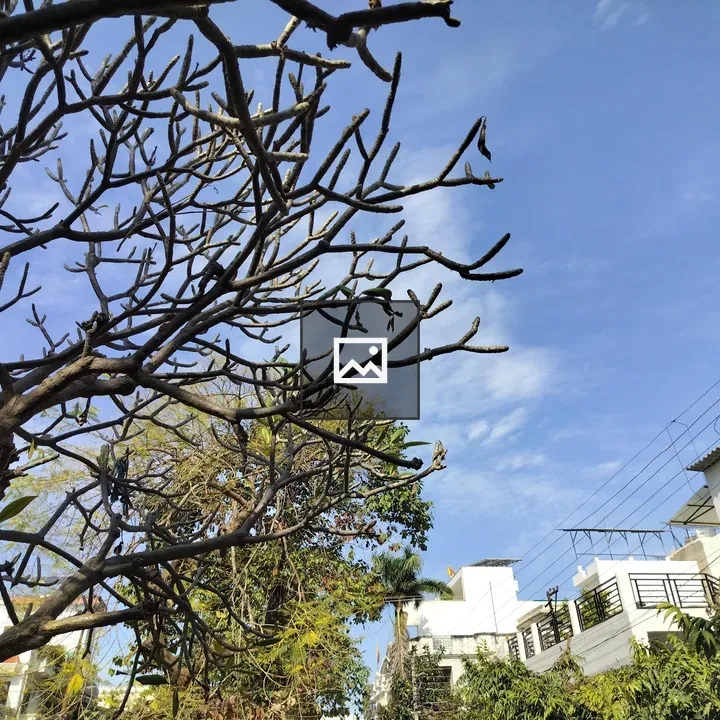 Trees and Buildings under Blue Sky