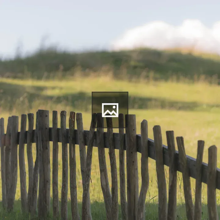 Fence in a Meadow
