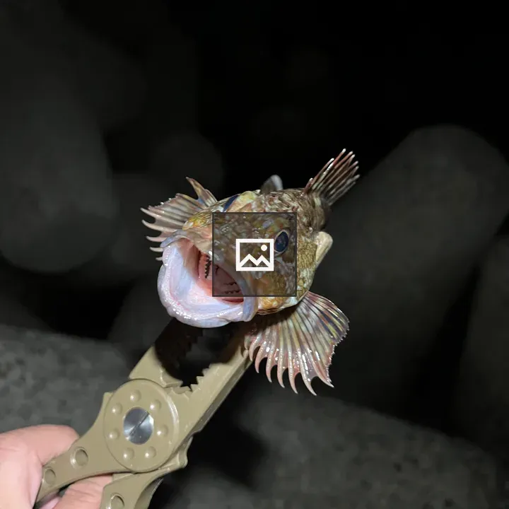 Scorpion Fish and Pliers