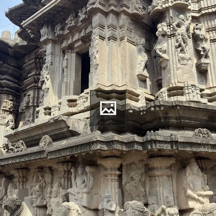 Intricately Carved Elephant Relief