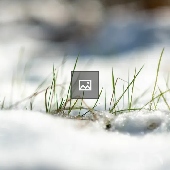 Grass and Snow