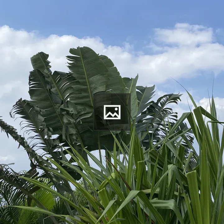 Tall green tropical plants close-up