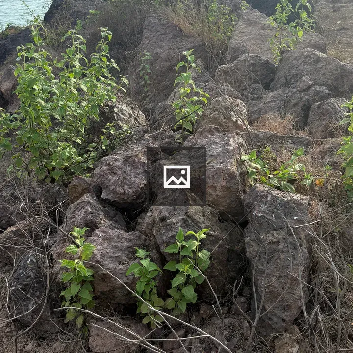 Rocky landscape with stone outcrops