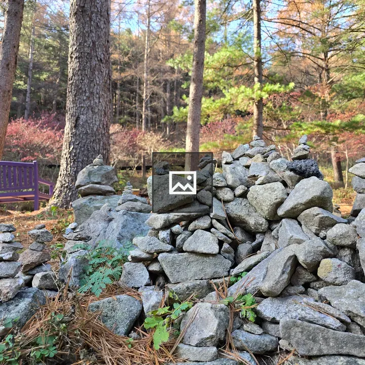 Rock cairns in wooded area
